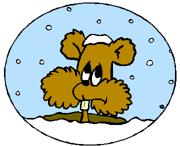Cold Groundhog
